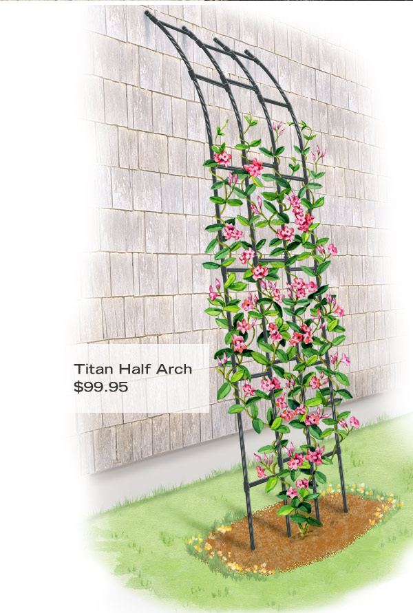 Pictured: Titan Half Arch, $99.95