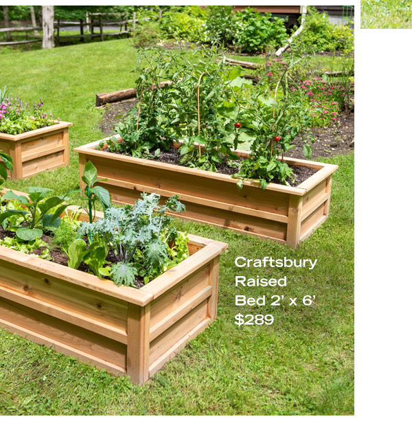 Craftsbury Raised Bed, 2'x6', $289