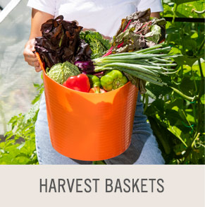 Shop Harvest Baskets