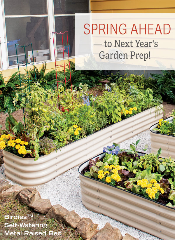 Spring Ahead - To Next Year's Garden Prep! Pictured: Self-Watering Metal Raised Bed