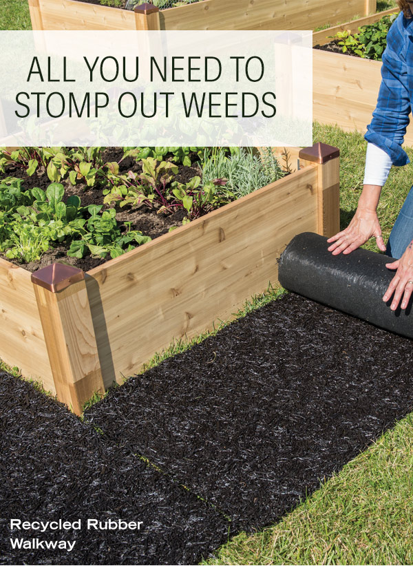 All You Need to Stomp Out Weeds