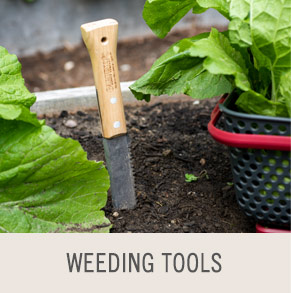 Shop Weeding Tools