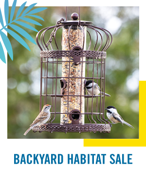 Shop Backyard Habitat Sale