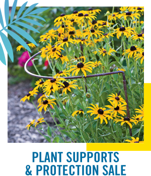 Shop Plant Supports & Protection Sale