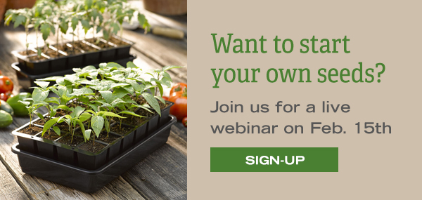 Want to start your own seeds? Join us for a live webinar on February 15th! - Sign-up