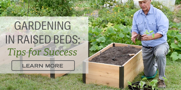 Gardening in Raised Beds: Tips for Success - LEARN MORE