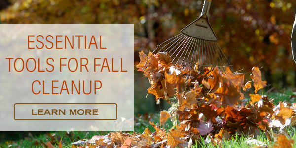 Essential Tools for Fall Cleanup - Learn More