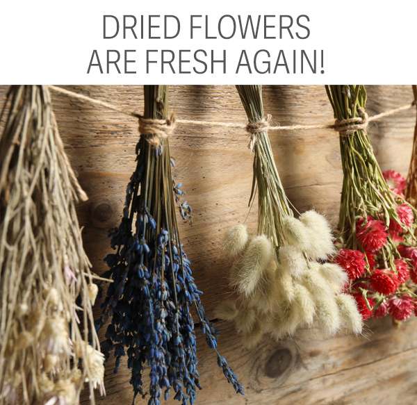 Dried Flowers are Fresh Again!