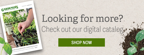 Looking for more? Check out our digital catalog - Shop now