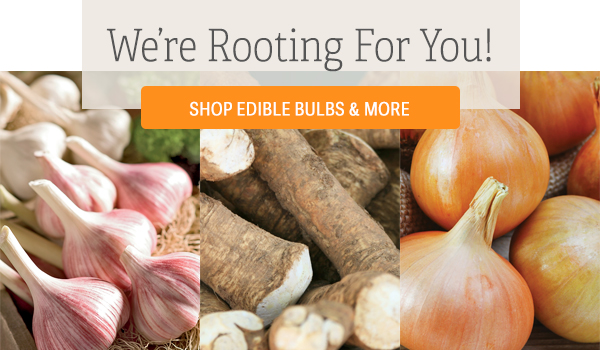We're Rooting For You! Shop edible bulbs and more
