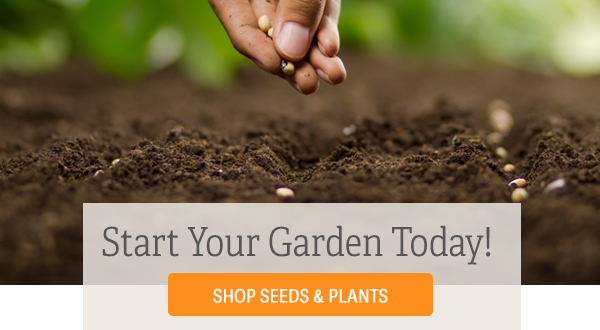 Start Your Garden Today! Shop Seeds & Plants