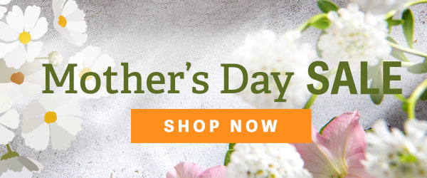 Mother's Day SALE - Shop Now