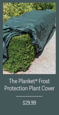 The Planket Frost Protection Plant Cover $29.99