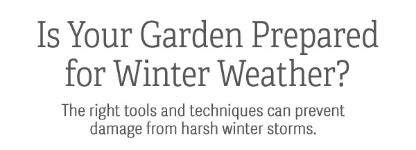 Is Your Garden Prepared for Winter Weather? The right tools and techniques can prevent damage from harsh winter storms.