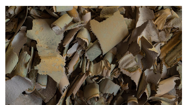 Pictured: scraps of brown paper waste for compost piles