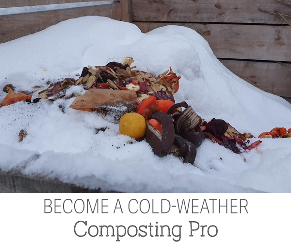 Become a Cold-Weather Composting Pro