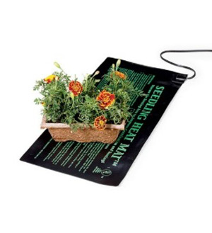 Pictured: Plants on a seedling heat mat