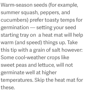 Warm-season seeds (for example, summer squash, peppers, and cucumbers) prefer toasty temps for germination - setting your seed starting tray on a heat mat will help warm (and speed) things up. Take this tip with a grain of salt however: Some cool-weather crops like sweet peas and lettuce, will not germinate well at higher temperatures. Skip the heat mat for these.