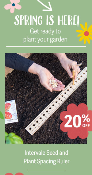 Intervale Seed and Plant Spacing Ruler