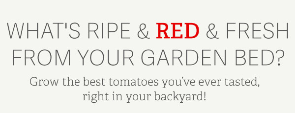 What's Ripe & Red & Fresh From Your Garden Bed? - Grow the best tomatoes you've ever tasted, right in your backyard.