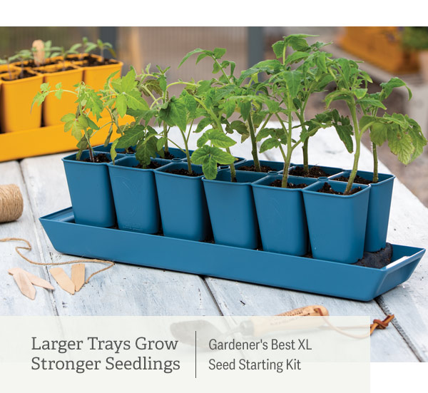 Larger Trays Grow Stronger Seedlings - Pictured: Gardener's Best XL Seed Starting Kit