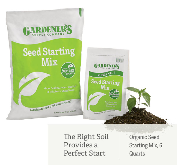 The Right Soil Provides a Perfect Start Pictured: Organic Seed Starting Mix, 6 Qts.