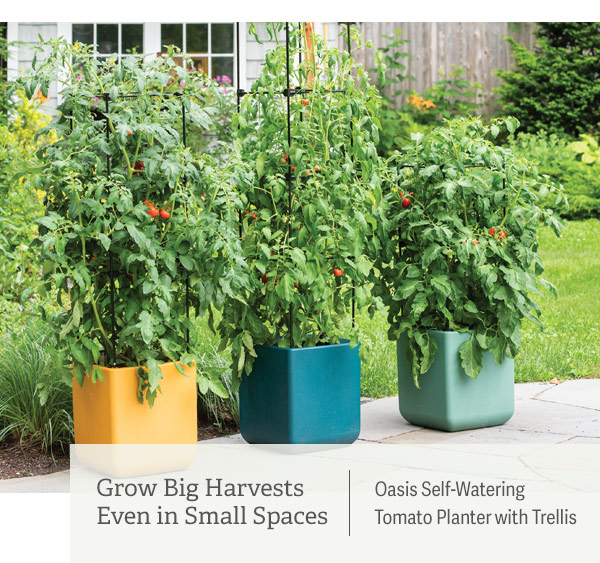 Grow Big Harvests Even in Small Spaces Pictured: Oasis Self-Watering Tomato Planter with Trellis