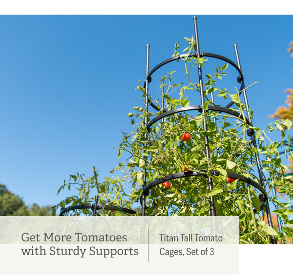 Get More Tomatoes with Sturdy Supports Pictured: Titan Tall Tomato Cages, Set of 3