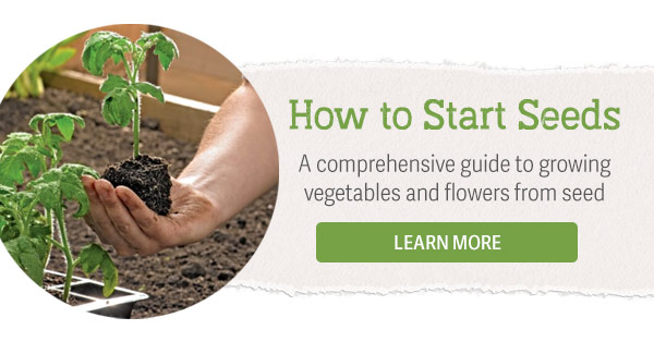 How to Start Seeds - A comprehensive guide to growing vegetables and flowers from seed