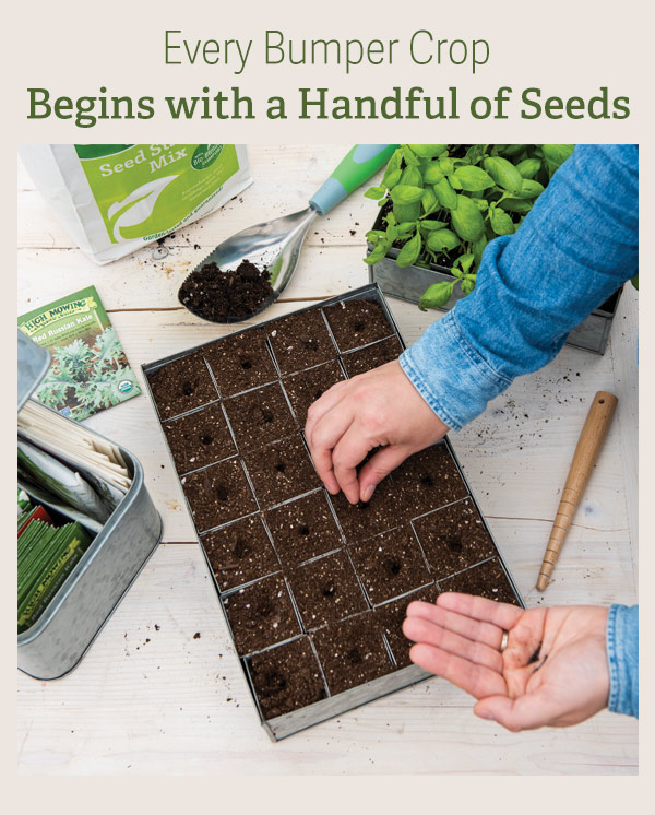 Every Bumper Crop Begins with a Handful of Seeds