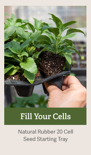 Fill Your Cells - Natural Rubber 20 Cell Seed Starting Tray