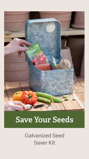 Save Your Seeds - Galvanized Seed Saver Kit