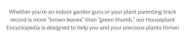 Whether you're an indoor garden guru or your plant parenting hack record is more "brown leaves" than "green thumb," our Houseplant Encyclopedia is designed to help you and your precious plants thrive!