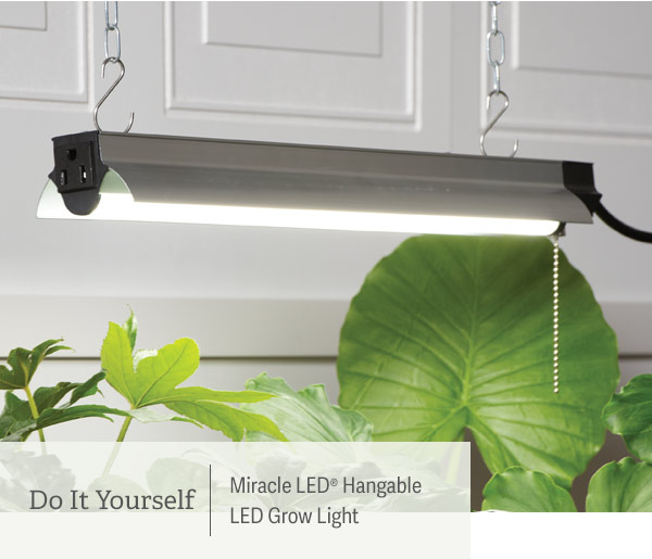 Do It Yourself | Miracle LED Hangable LED Grow Light