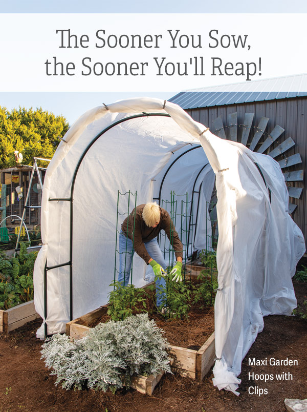 The Sooner You Sow, the Sooner You'll Reap! - Pictured: Maxi Garden Hoops with Clips