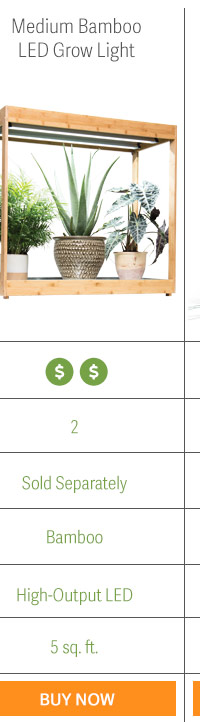 Medium Bamboo LED Grow Light - 2x Cost, 2 Bulbs, Rolling Casters Sold Separately, Bamboo, High-Output LED Lights, 5 sq. ft. growing space. - BUY NOW