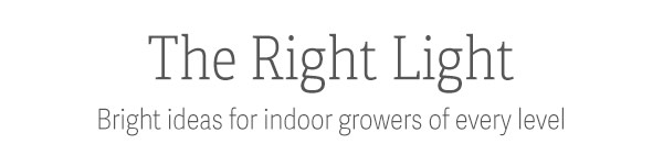 The Right Light - Bright ideas for indoor growers of every level