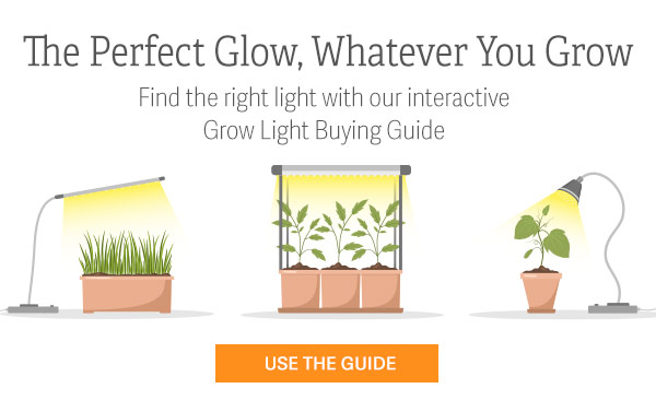 The Perfect Glow, Whatever You Grow - Find the right light with our interactive Grow Light Buying Guide - USE THE GUIDE