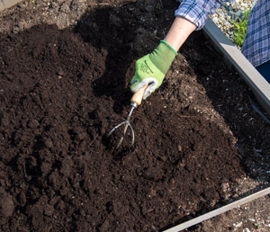 Pictured: Gardener tilling a the soil in a raised bed with a Gardener's Lifetime Cultivator
