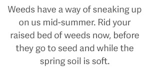 Weeds have a way of sneaking up on us mid-summer. Rid your raised bed of weeds now, before they go to seed and while spring soil is soft.