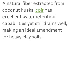 A natural fiber extracted from coconut husks, coir has excellent water-retention capabilities yet still drains well, making an ideal amendment for heavy clay soils