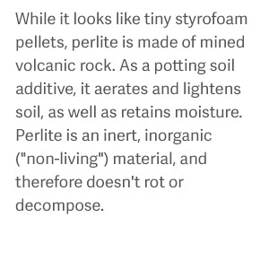 While it looks like tiny styrofoam pellets, perlite is made of mined volcanic rock. As a potting soil additive, it aerates and lightens soil, as well as retains moisture. Perlite is an inert, inorganic ("non-living") material, and therefore doesn't rot or decompose.