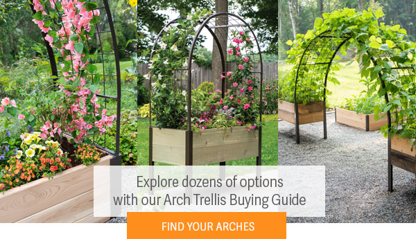 Explore dozens of options with our Arch Trellis Buying Guide - Find Your Arches