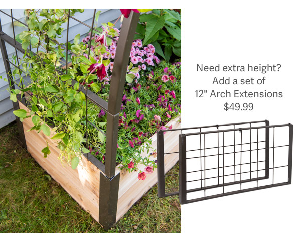Need extra height? Add a set of 12" Arch Extensions $49.99