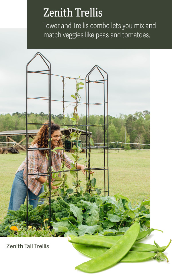 Zenith Trellis Tower and Trellis combo lets you mix and match veggies like peas and tomatoes. Pictured: Zenith Tall Trellis