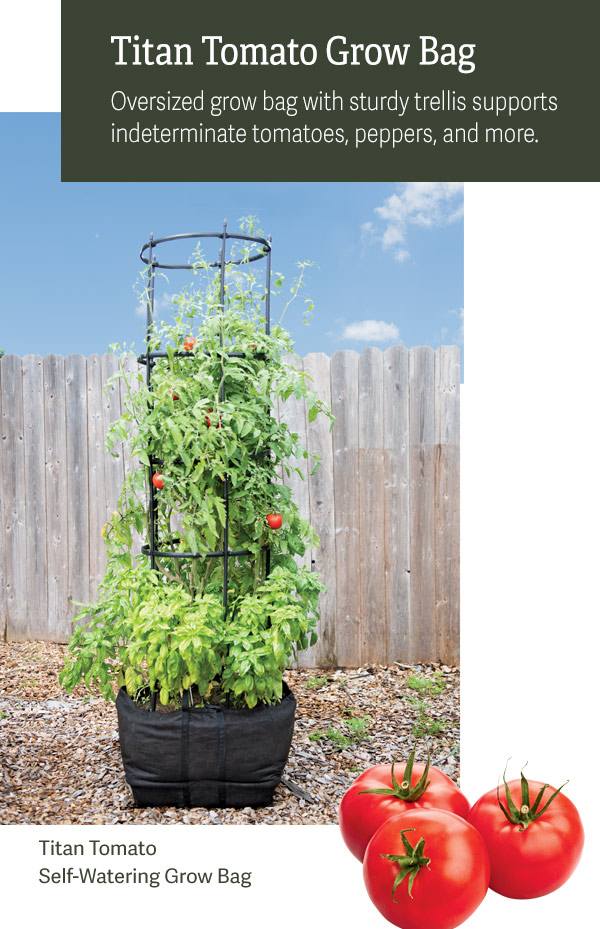 Titan Tomato Grow Bag Oversized grow bag with sturdy trellis supports indeterminate tomatoes, peppers, and more. Pictured: Titan Tomato Self-Watering Grow Bag