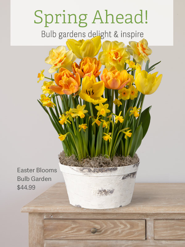 Spring Ahead! Bulb gardens delight & inspire -Pictured: Easter Blooms Bulb Garden $44.99