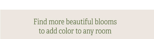 Find more beautiful blooms to add color to any room