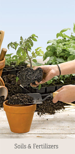 Soils & Fertilizers