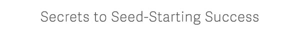 Secrets to Seed-Starting Success